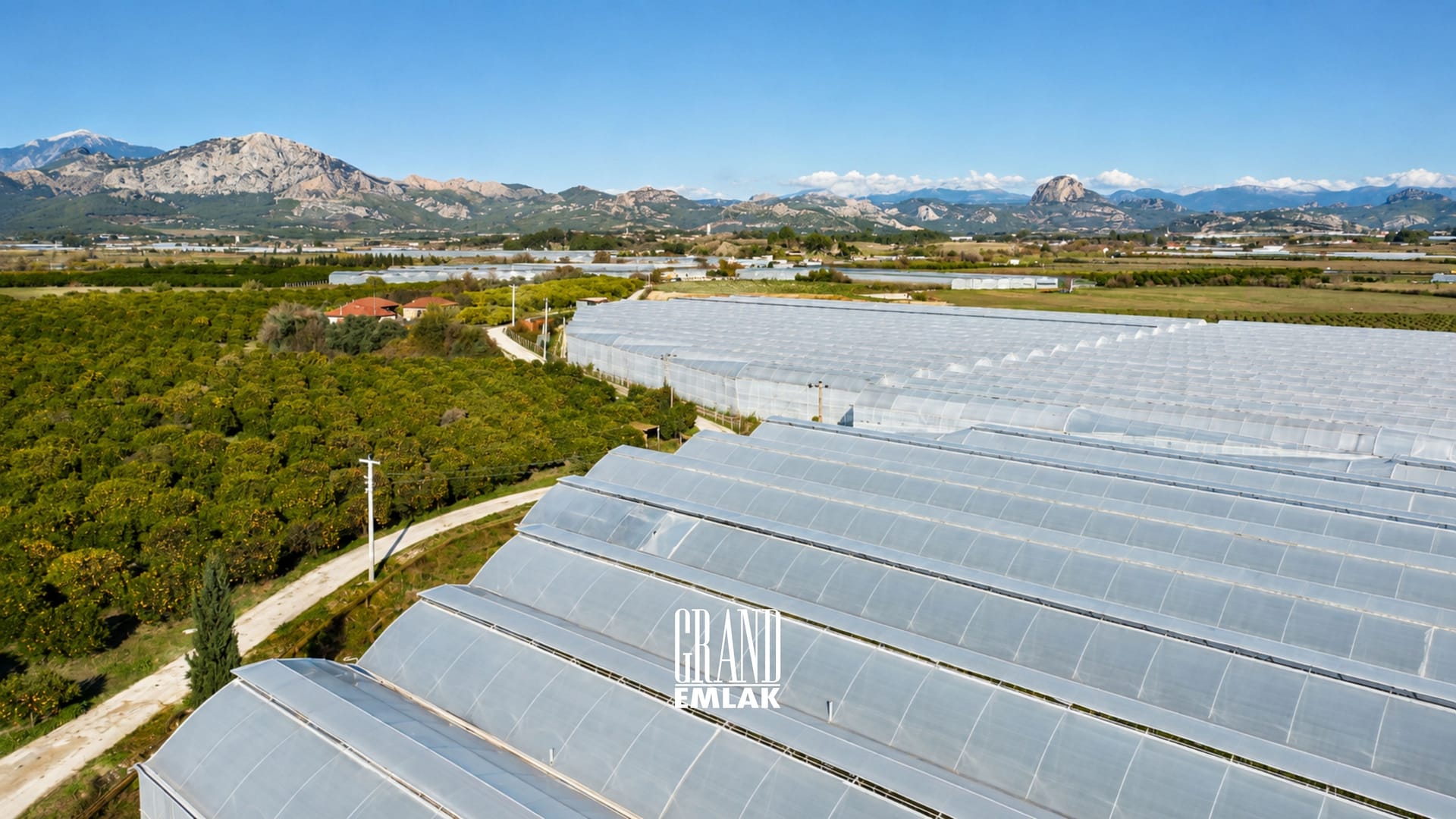 265 DÖNÜM ÇANDIR SELARA 2026 (4)