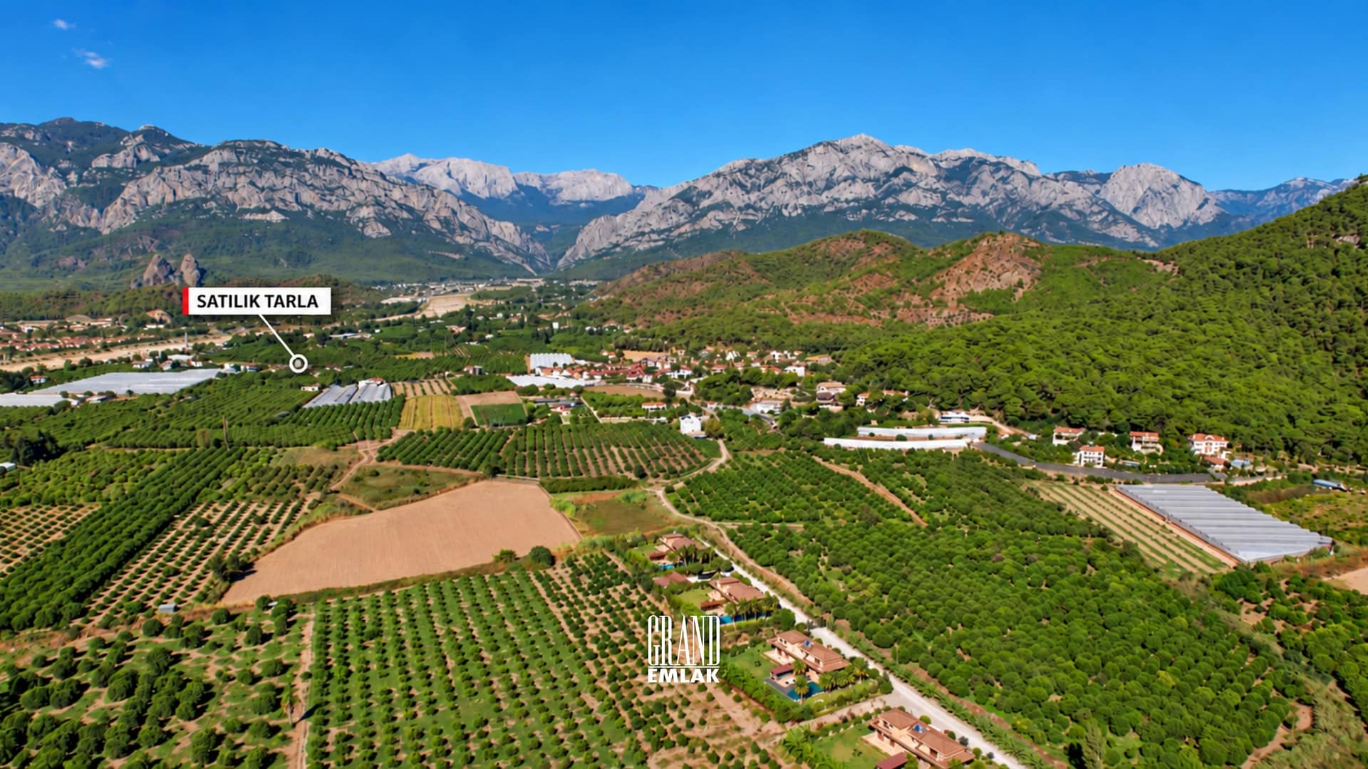 Kemer Kiriş’te Kiriş Caddesi’ne 185 m Cepheli, Plaja 2 Km Satılık 21.907 m² Narenciye Bahçesi (1)